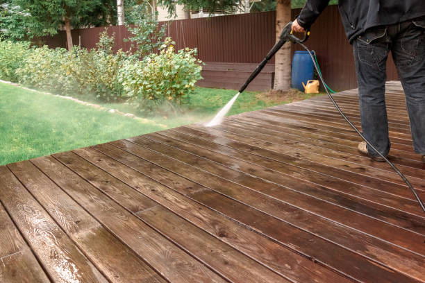 Best Animal Enclosure Cleaning  in Lecanto, FL